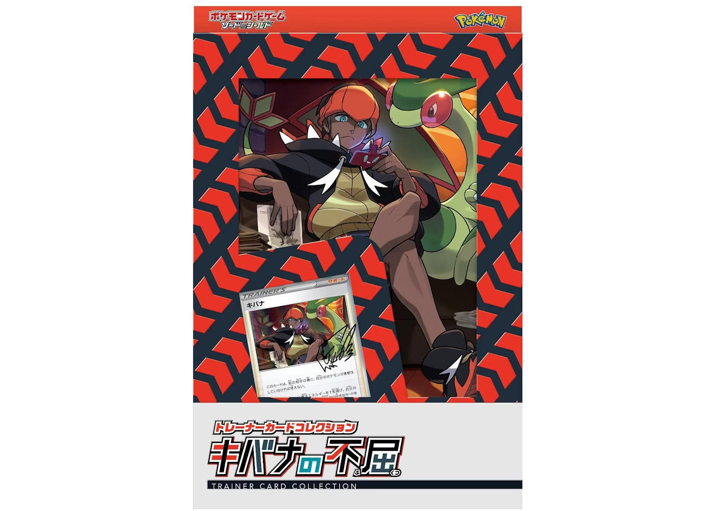 Pokemon Sword & Shield Raihan S Indomitableness Trainer Card Collection (JAPANESE)